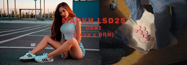 стафф Богданович