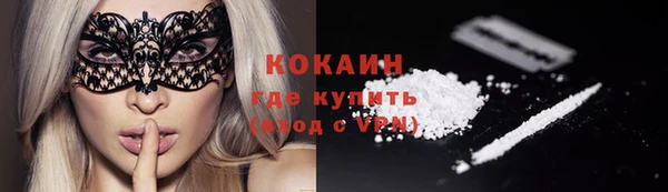 стафф Богданович