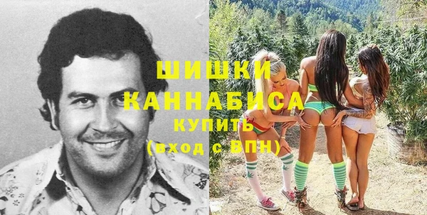 стафф Богданович