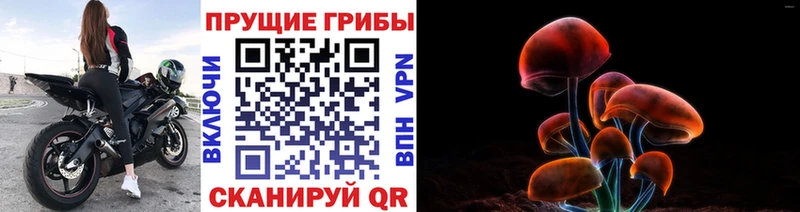 Галлюциногенные грибы мицелий  Мезень 